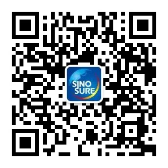 中国出口信用保险公司总部2026届暑期实习生招聘公告